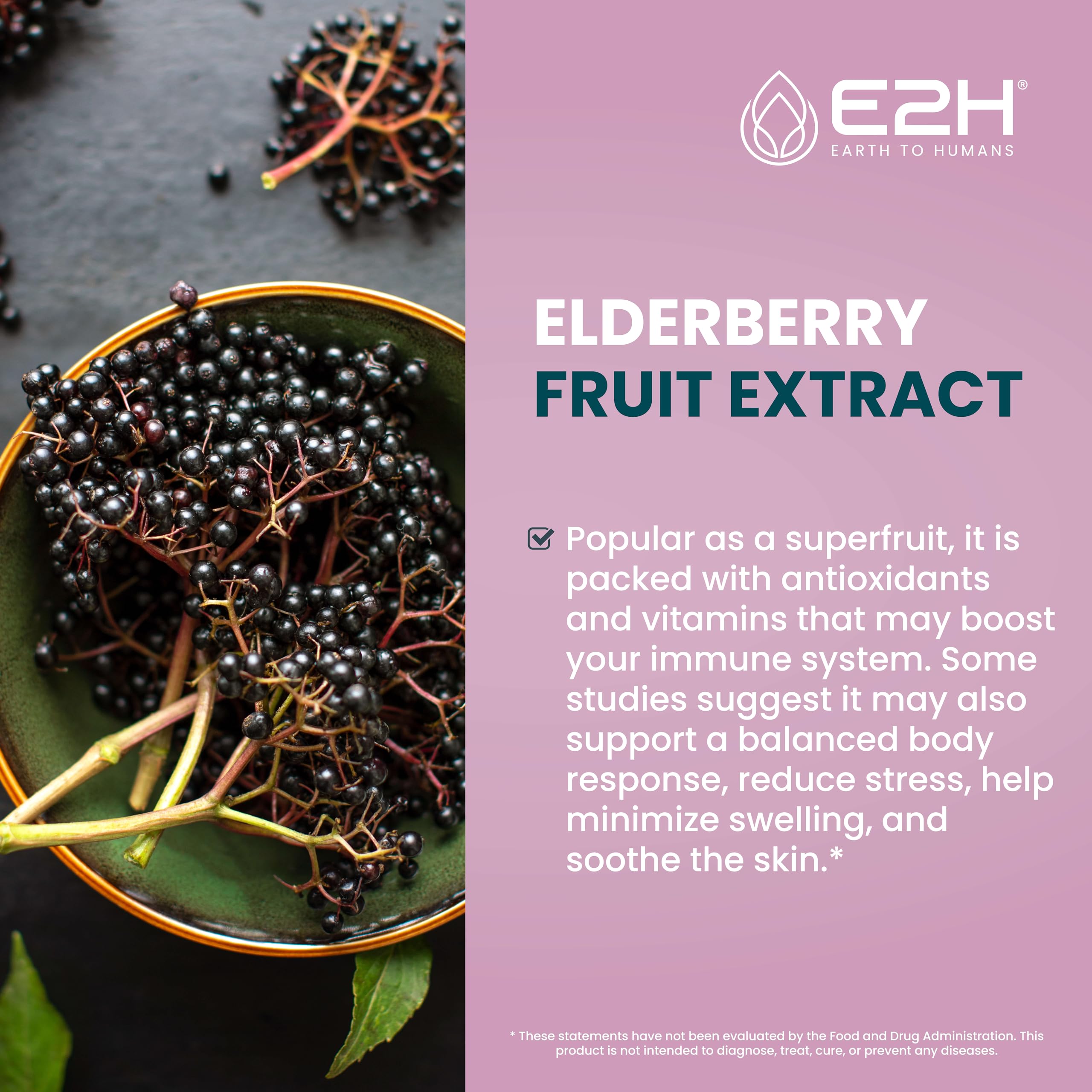 E2H Elderberry Syrup ingredients highlight organic elderberries and antioxidants