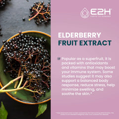 E2H Elderberry Syrup ingredients highlight organic elderberries and antioxidants
