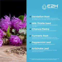 E2H Liver Support artichoke-leaf ingredient highlight for natural nourishment.
