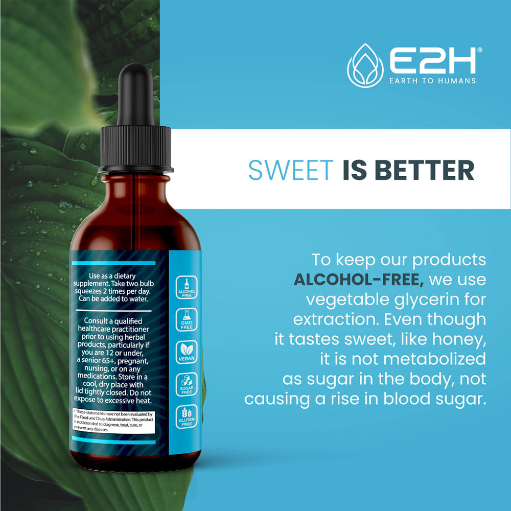 E2H Liver Support ingredients artichoke and dandelion close-up.