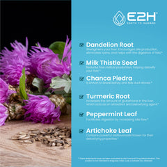 E2H Milk Thistle liquid form highlights herbal support.