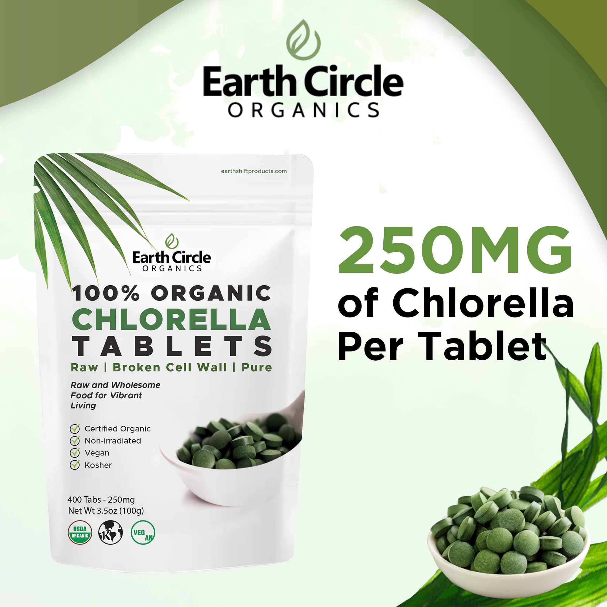 Broken cell wall processing highlighted for absorption in Earth Circle Organics chlorella
