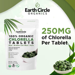 Broken cell wall processing highlighted for absorption in Earth Circle Organics chlorella