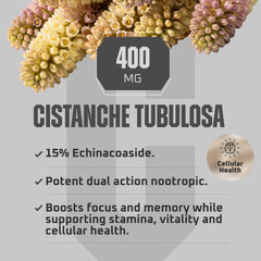 Earth Elixir Cistanche deserticola-tubulosa blend image signals potent botanical profile.