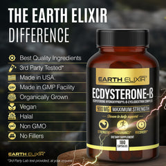 Earth Elixir Ecdysterone science graphic; highlights enhanced absorption via cyclodextrin.