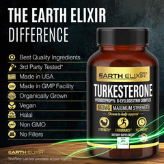 Earth Elixir Turkesterone in gym setup illustrating training focus and routine integration