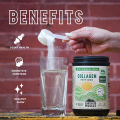 Earth Fed Muscle collagen peptides powder in smoothie showcases versatile, sugar-free, gluten-free protein boost
