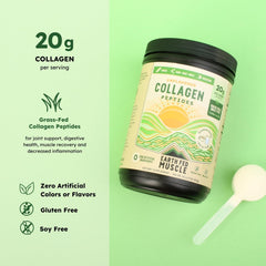 Earth Fed Muscle collagen peptides scoop resting beside powder for easy daily mixing