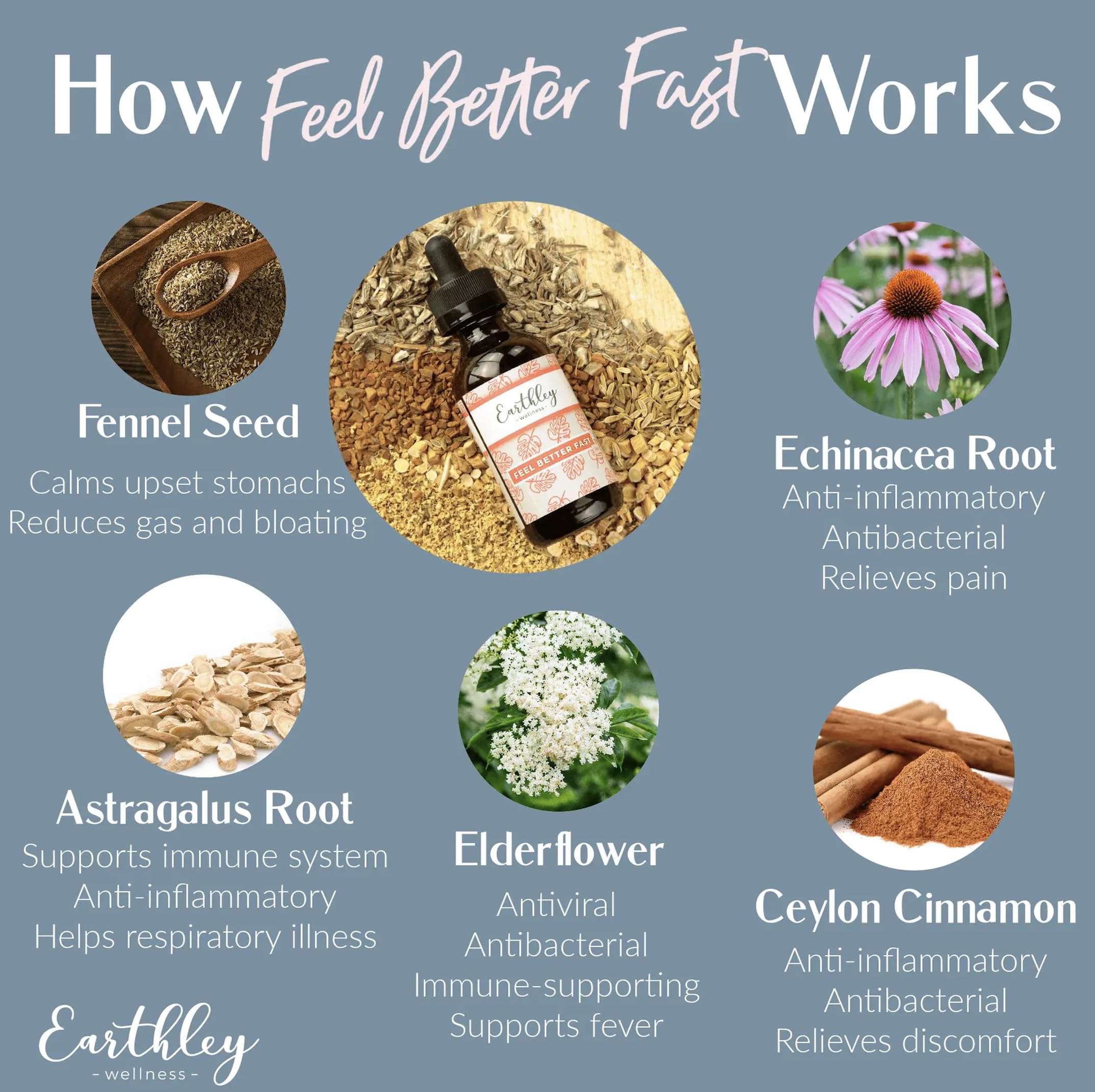 Earthley Wellness Feel Better Fast glass bottle shows pure ingredients for family-friendly, alcohol-free relief.