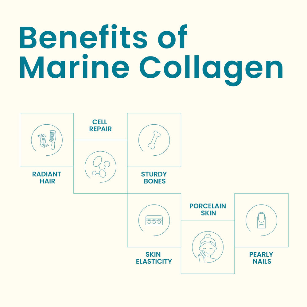 EarthNutri marine collagen sticks dissolving in water