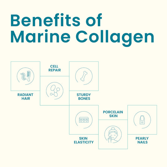 EarthNutri marine collagen sticks dissolving in water
