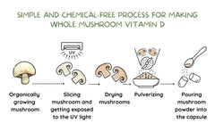 Eat Intact organic mushroom powder close-up emphasizing natural sourcing