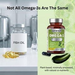 EAT INTACT vegan omega-3 capsules ideal for daily plant-based nutrition