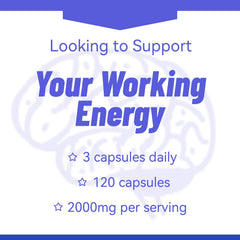 Poured capsules scene illustrates simple dosage for daily use.