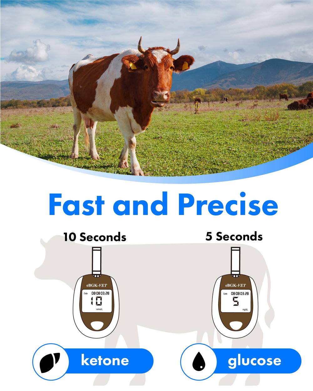 eBmonitor eBGKVET glucose strips pack ready for reliable field testing