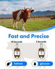 eBmonitor eBGKVET glucose strips pack ready for reliable field testing