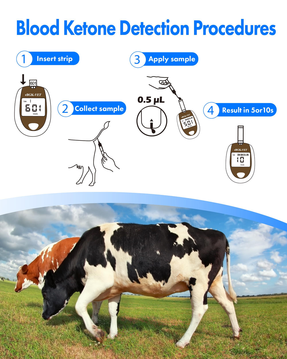 eBmonitor eBGKVET ketone strips for ketosis monitoring on dairy farms