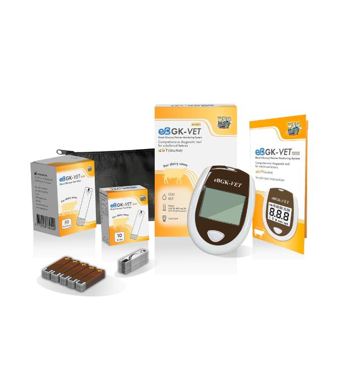eBmonitor eBGKVET screen display shows glucose and ketone readings quickly for routine checks