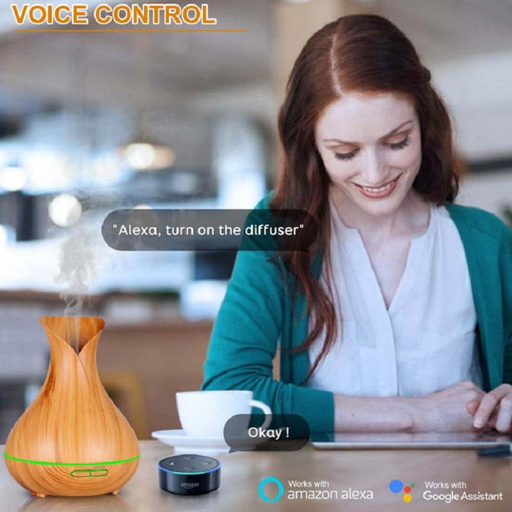 Ebooine diffuser app setup illustrates simple connection from phone