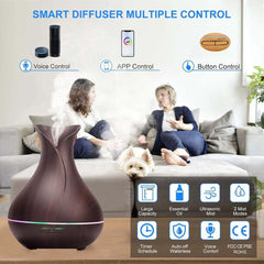Ebooine diffuser with Alexa/Google Home setup for hands-free control