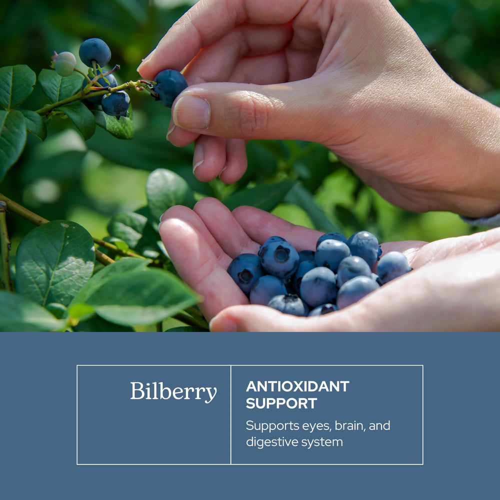 ECLECTIC INSTITUTE Freeze-dried bilberries image highlights potent polyphenols for vitality