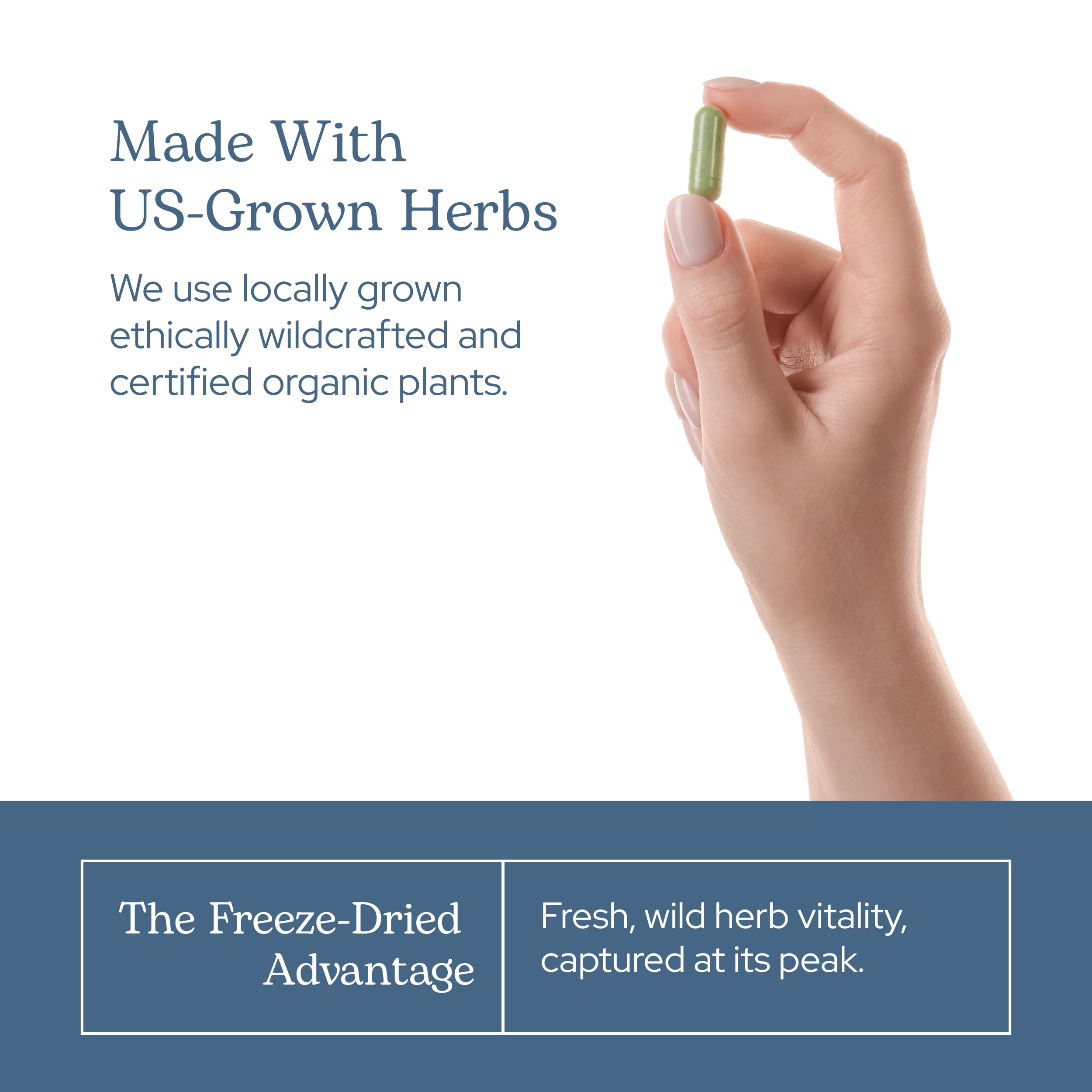 ECLECTIC INSTITUTE Packaging with clean design communicates allergen-free reliability