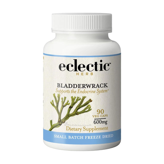 Eclectic Institute bladderwrack capsules bottle closeup highlights potent natural seaweed supplement.
