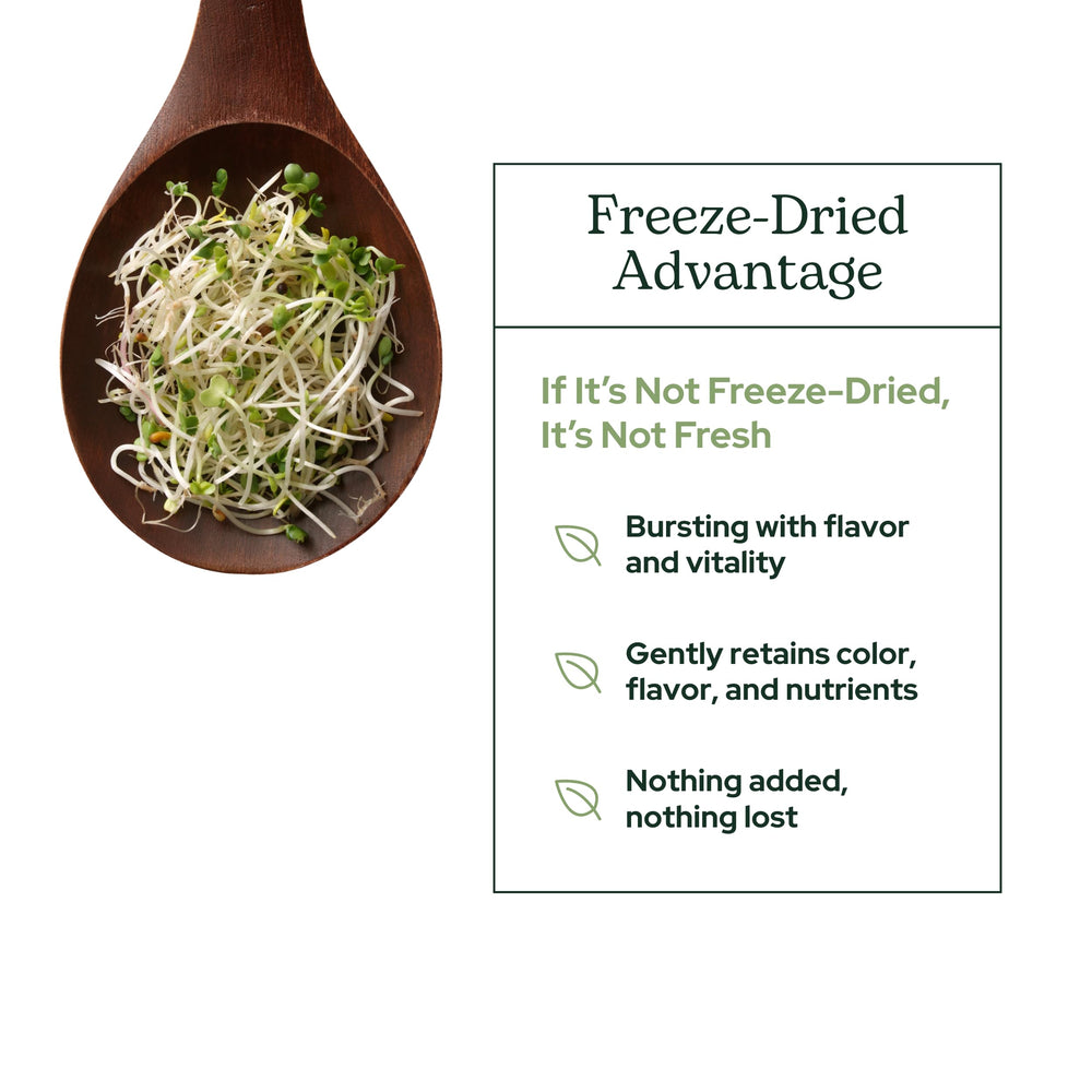 Close-up of Eclectic Institute broccoli sprouts powder texture