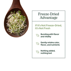 Close-up of Eclectic Institute broccoli sprouts powder texture