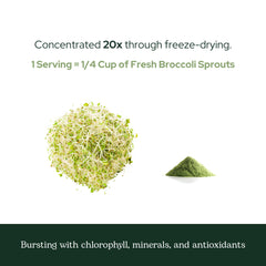 Nutrition label for Eclectic Institute broccoli sprouts powder showing organic and non-GMO