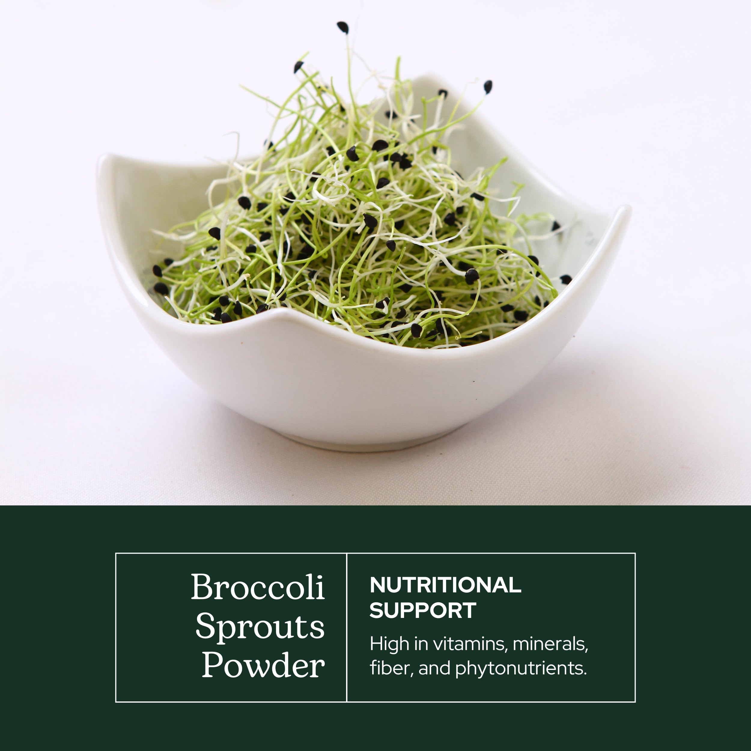 Eclectic Institute broccoli sprouts powder scoop with serving size concept