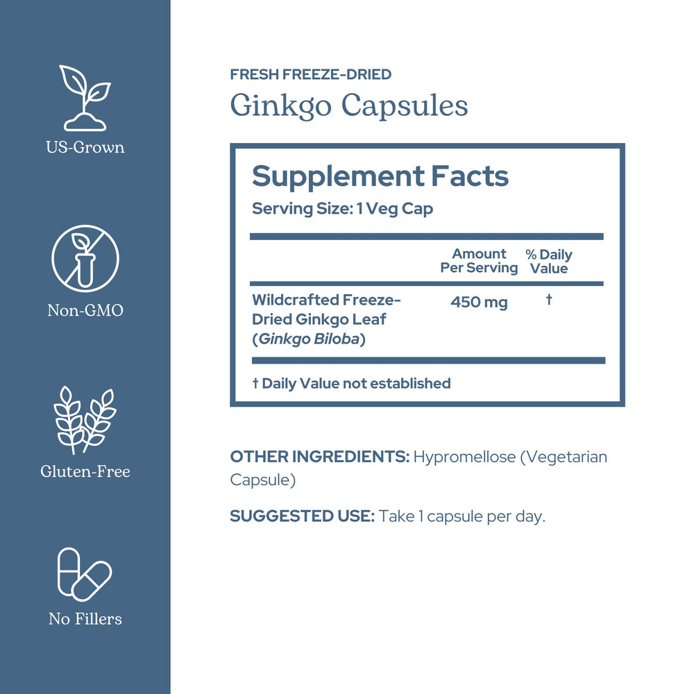 Eclectic Institute Ginkgo Biloba capsules close up for easy daily focus support