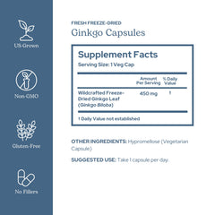 Eclectic Institute Ginkgo Biloba capsules close up for easy daily focus support
