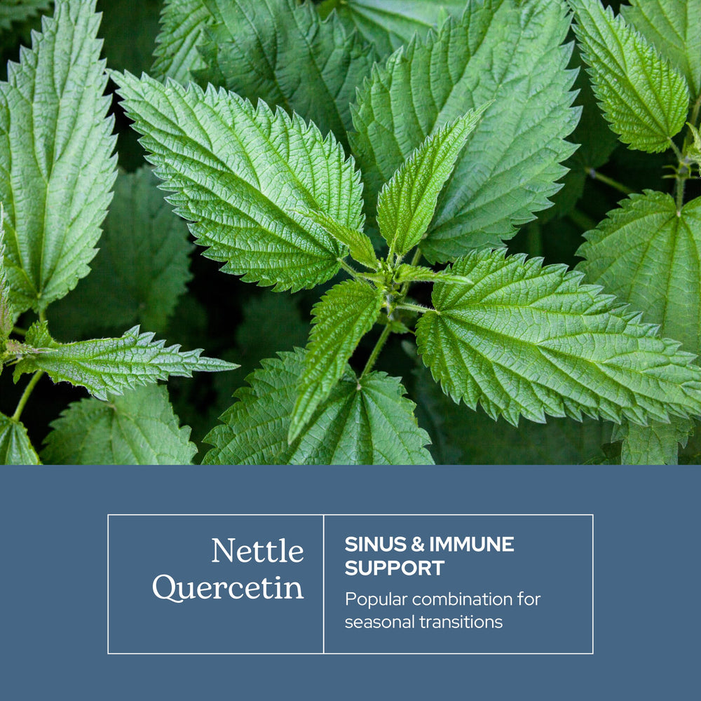 Label close-up shows minerals preserved in freeze-dried nettle blend.