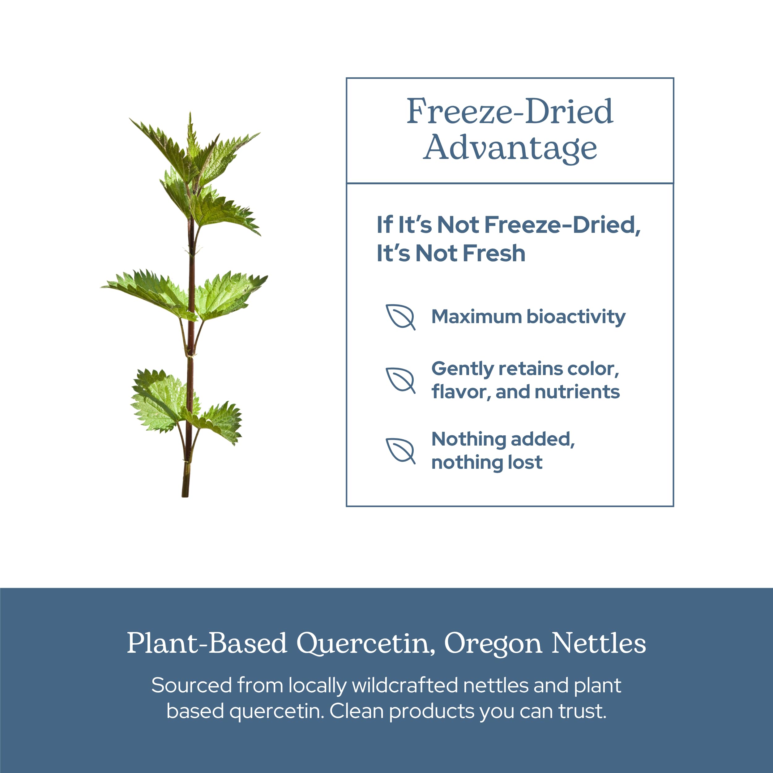 90-count bottle emphasizes gluten-free, dairy-free and vegan-friendly formula.