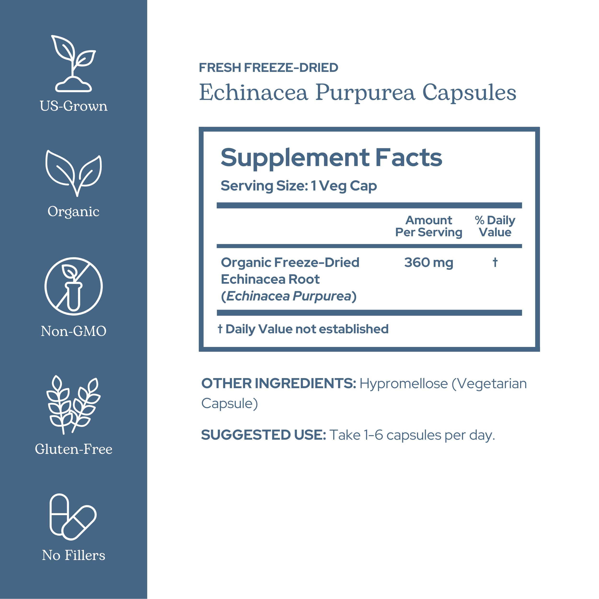 ECLECTIC INSTITUTE Freeze-dried echinacea chips highlight minimal processing and potency