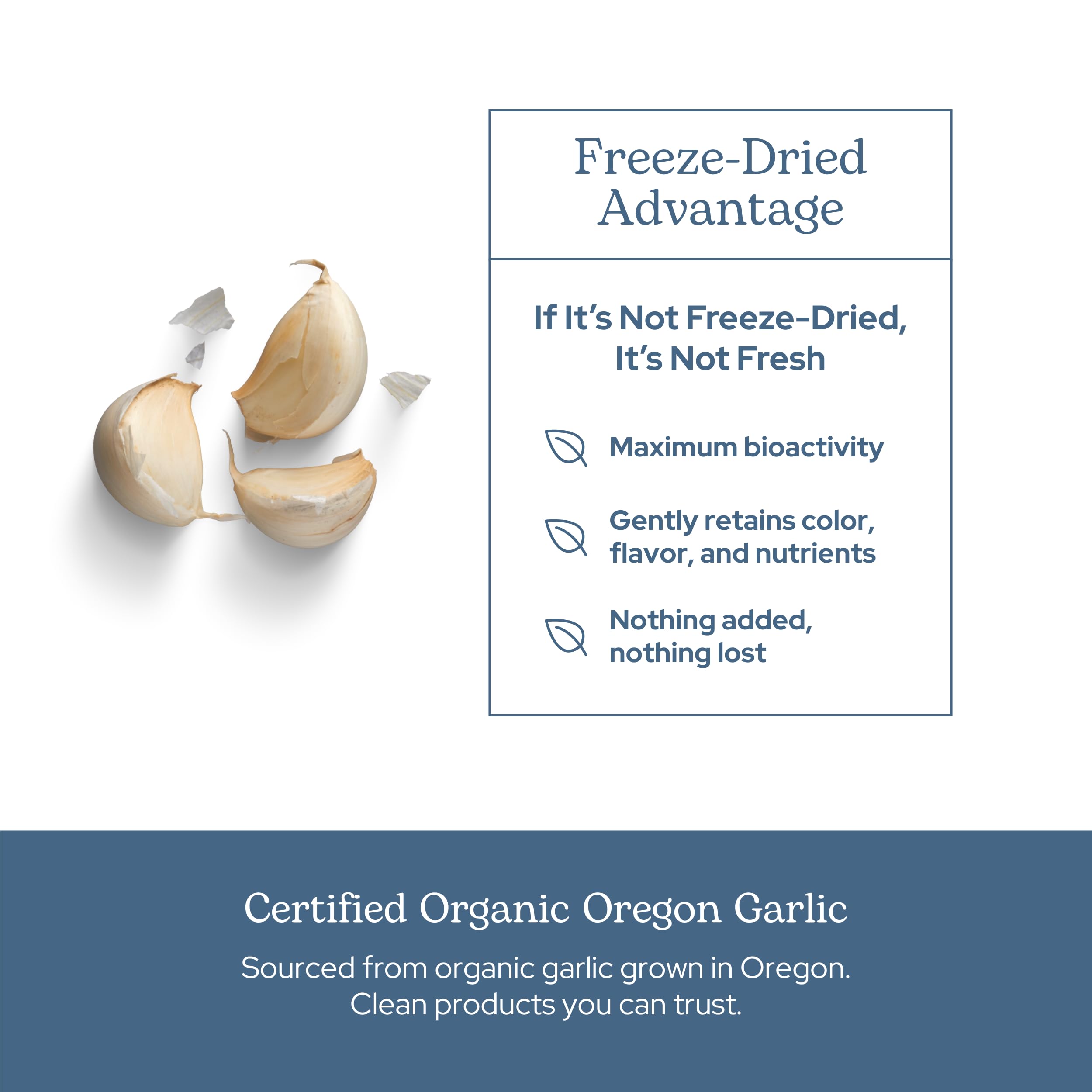ECLECTIC INSTITUTE garlic capsules dosage sample for daily intake.