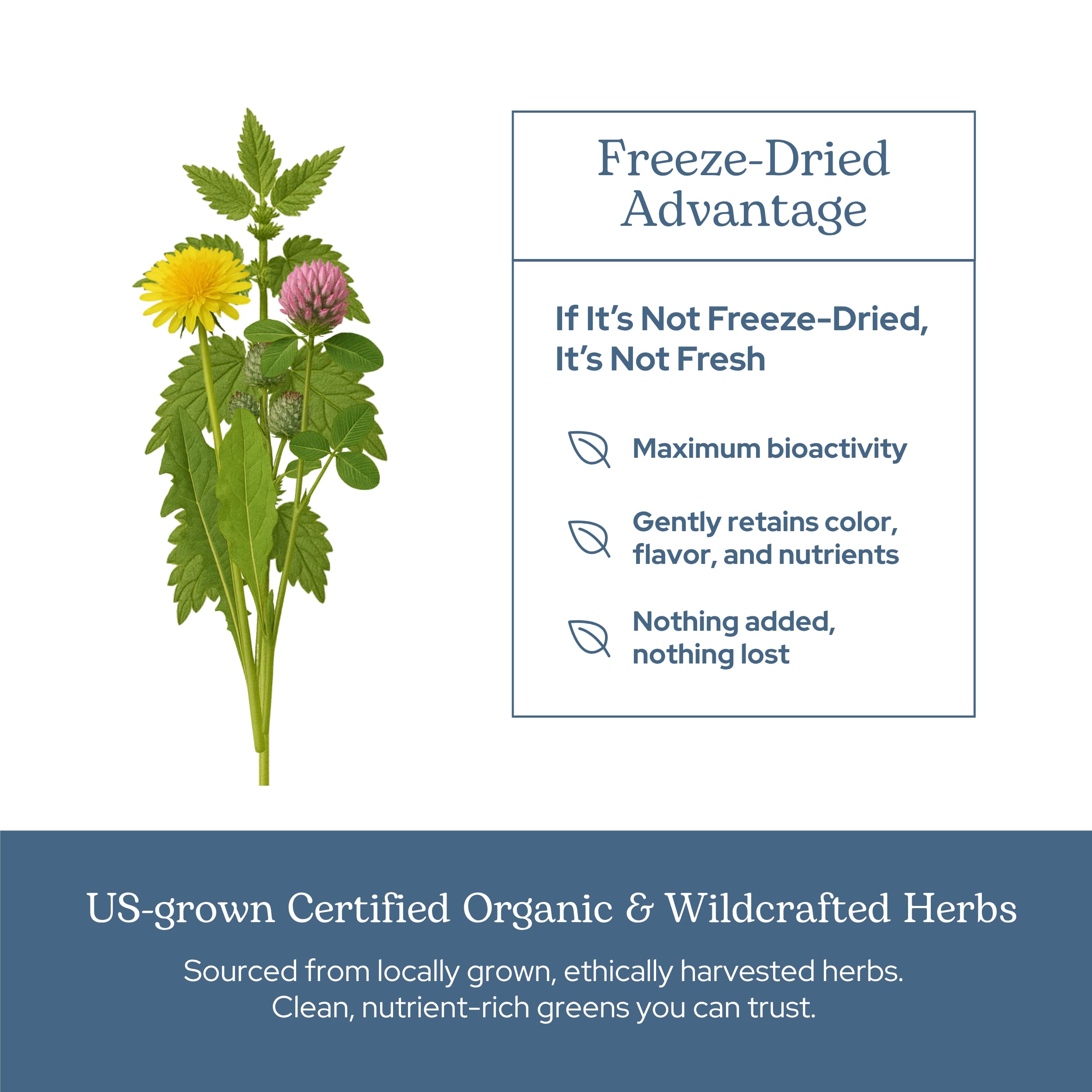 Eclectic Institute High-potency blend bottle demonstrates 12.4x strength potency.