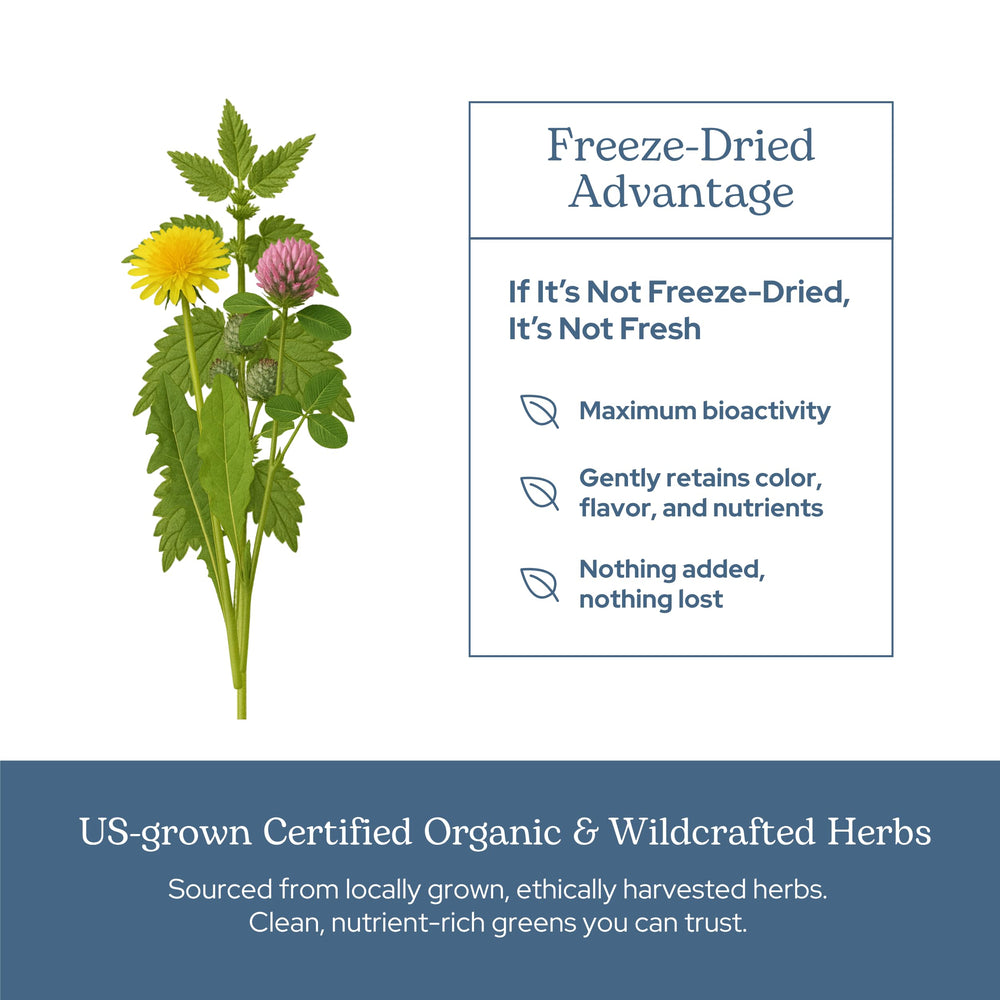 Eclectic Institute High-potency blend bottle demonstrates 12.4x strength potency.