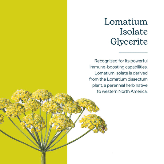 Eclectic Institute Lomatium Isolate glycerite dropper for easy dosing