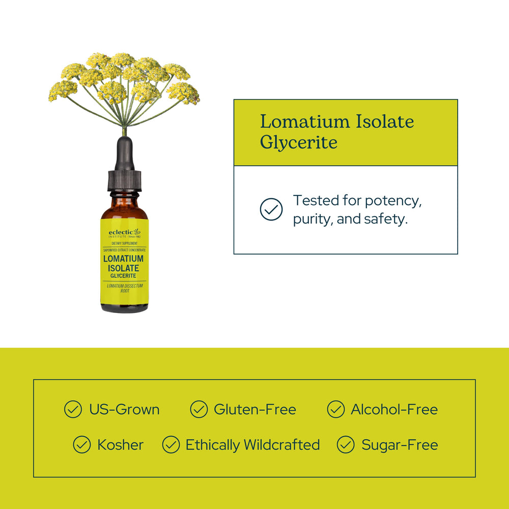 Eclectic Institute Lomatium Isolate glycerite vial on a clean surface for easy access