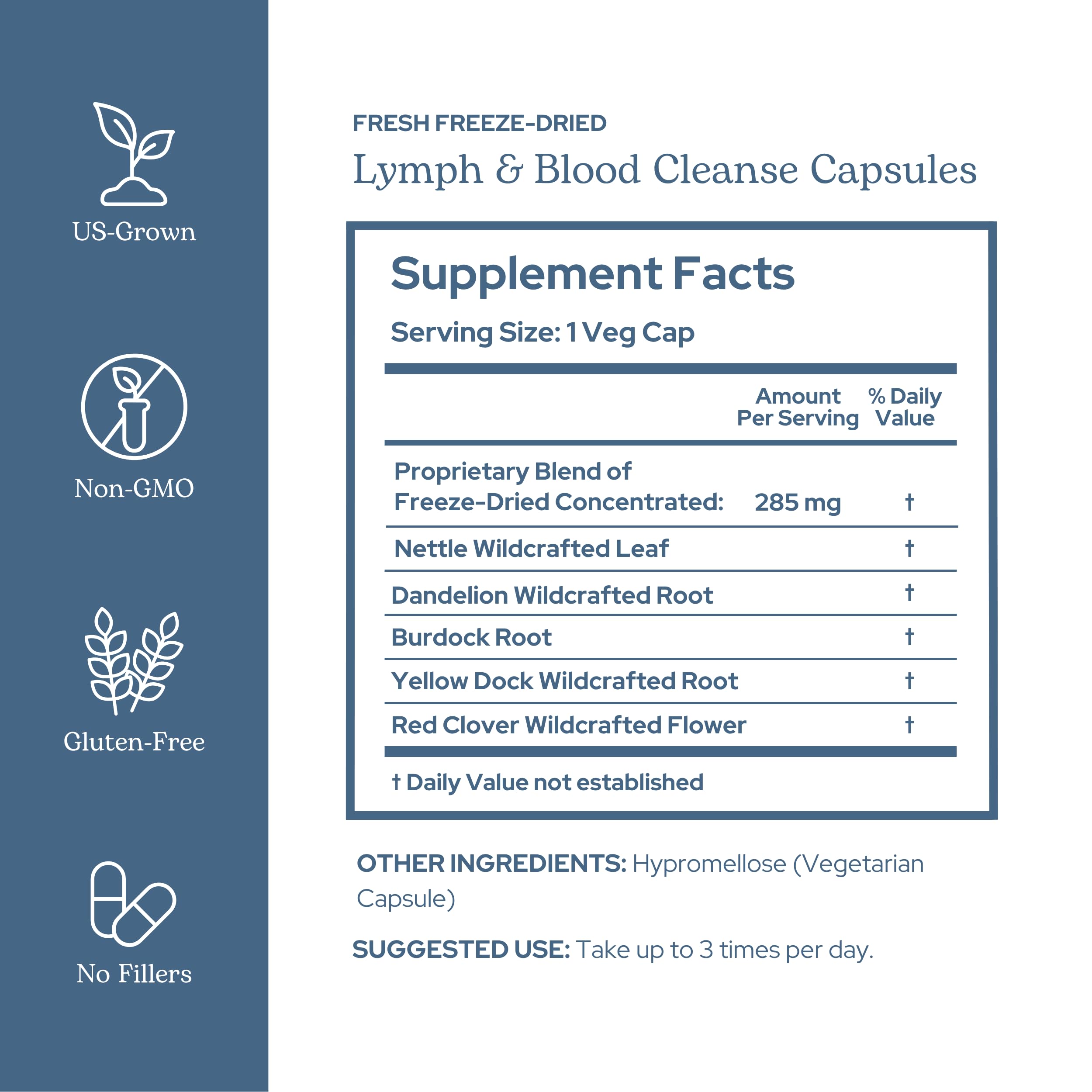 Eclectic Institute Lymph & Blood Cleanse label front highlights non-GMO vegan quality.