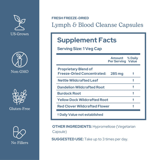 Eclectic Institute Lymph & Blood Cleanse label front highlights non-GMO vegan quality.