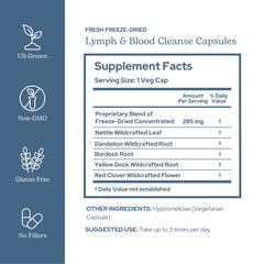 Eclectic Institute Lymph & Blood Cleanse label front highlights non-GMO vegan quality.
