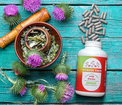 Eclectic Institute Milk Thistle capsules closeup displaying a dairy-free option