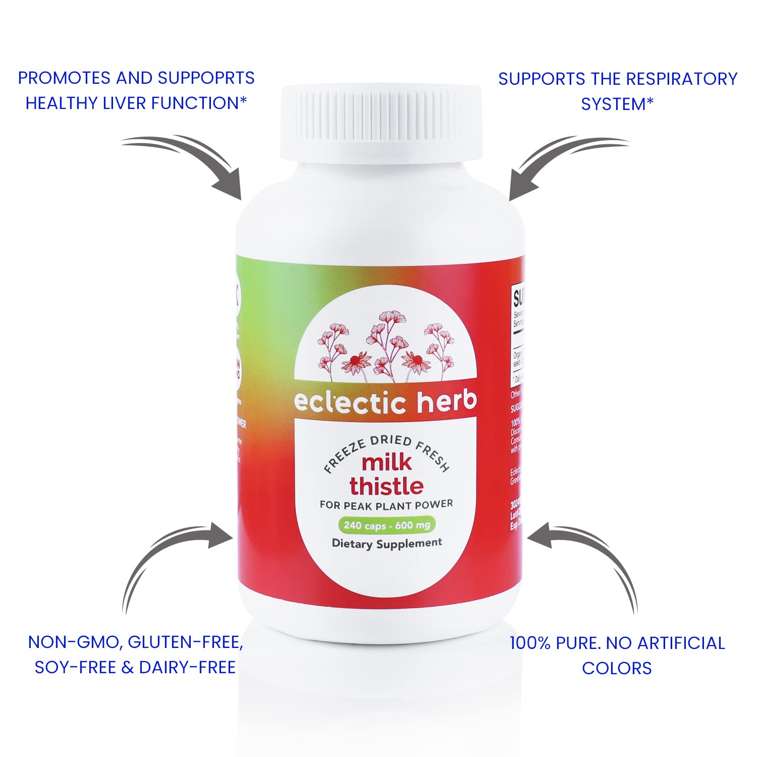 Eclectic Institute Milk Thistle scoop showing practical measuring for daily intake