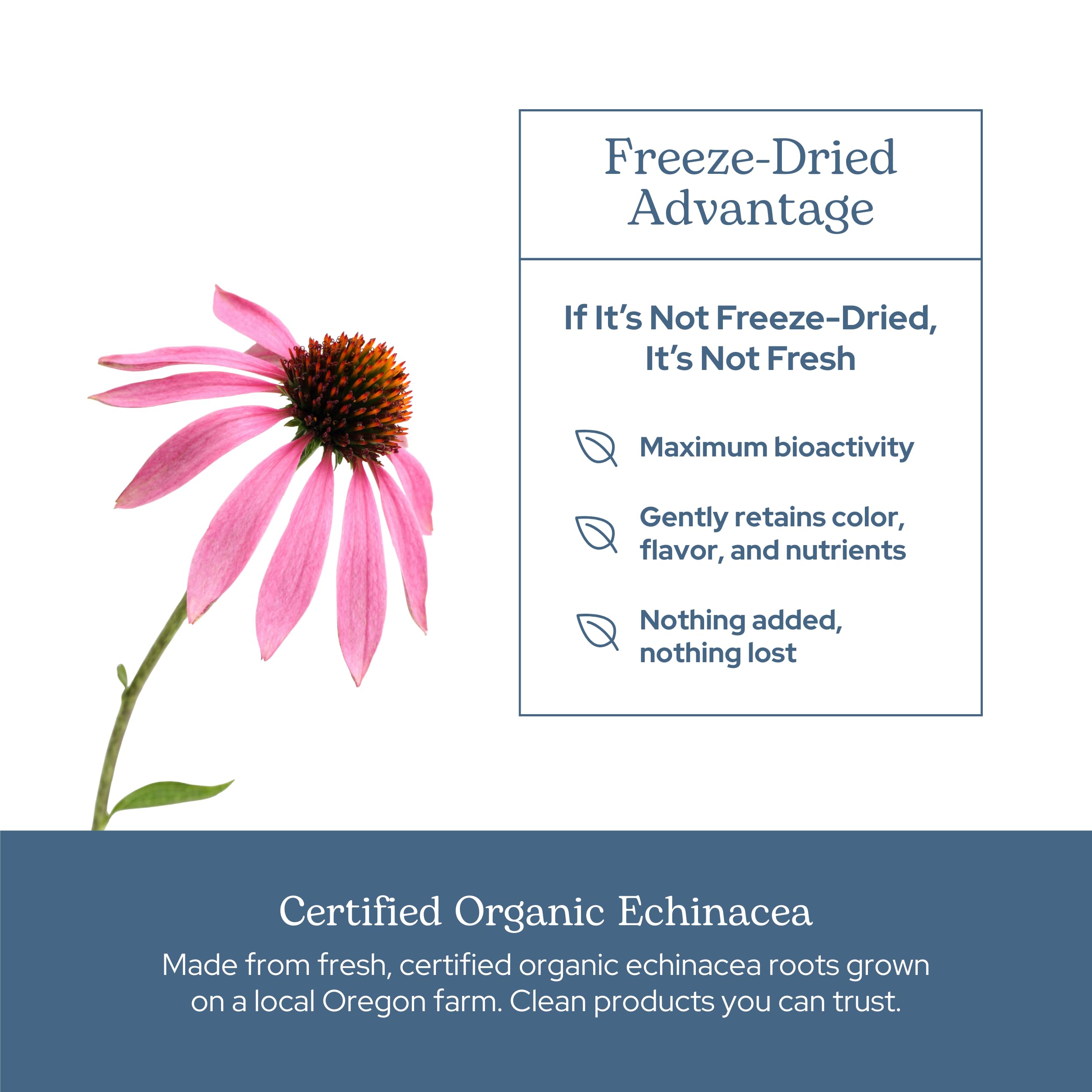 ECLECTIC INSTITUTE No artificial colors or flavors label shows clean ingredients