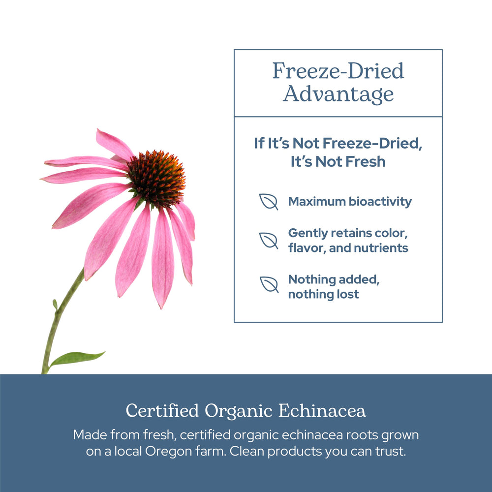 ECLECTIC INSTITUTE No artificial colors or flavors label shows clean ingredients