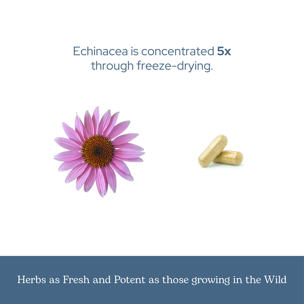 ECLECTIC INSTITUTE Small-batch freeze-drying process highlights freshness and nutrient balance