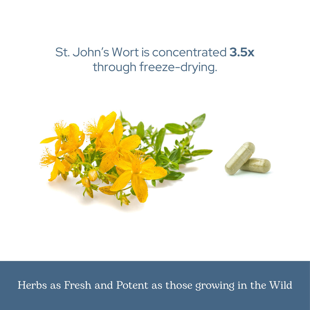 On-shelf display of Eclectic Institute St. John's Wort capsules